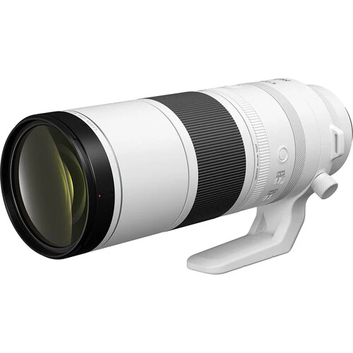 Canon RF 200-800mm f/6.3-9 IS USM Lens, Ø95 - Image 4